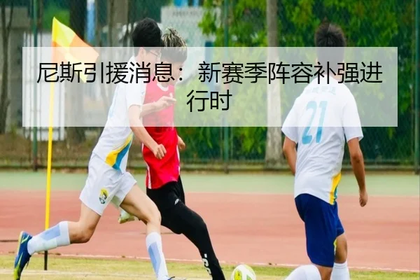 尼斯引援消息：新赛季阵容补强进行时